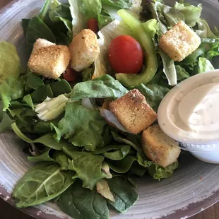 Side House Salad