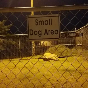 Small Dog Area