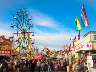 NC Mountain State Fair