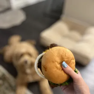 Classic Simple Burger with jalepenos added