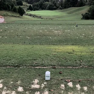 hole #4, elevated tee box, 150 yard Par 3 with a creek in front and elevated green