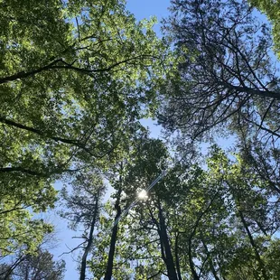 Outside