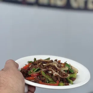 a hand holding a plate of food