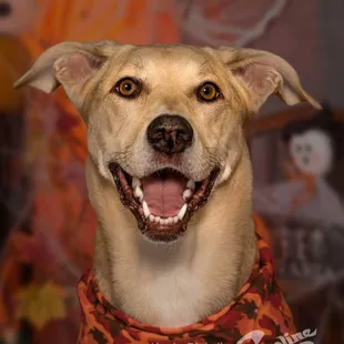 Kevin brought out the best in Cheyenne's eyes! And look at her smile!!