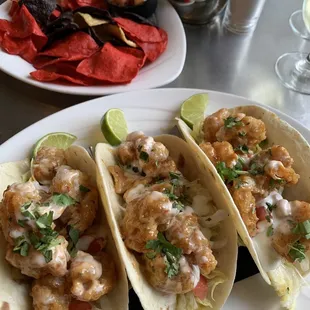 Shrimp tacos