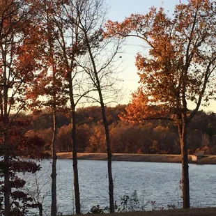 My view while I wait.