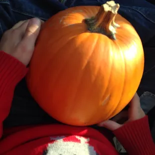 Pumpkin picking to boot!