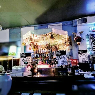 Americana, and a zebra with a Luchador mask. Live music, cheep beer, cheap full glass wine but no alcohol.