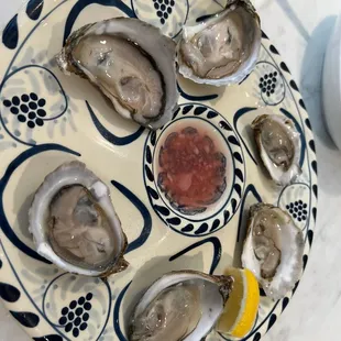 a plate of oysters