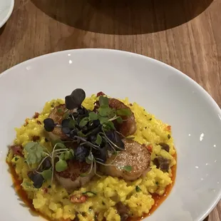 Scallops