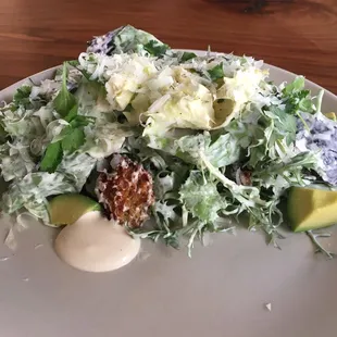 Chicory Caesar Salad