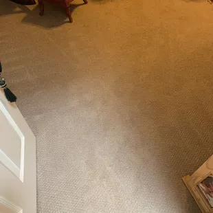 Carpet Care Plus