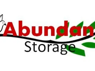 Abundant Storage