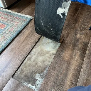 This has been happening all over our floor.