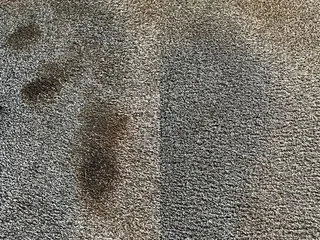 McGeorge Brothers Chem-Dry Carpet Cleaning