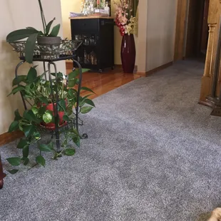 The carpet has plastic woven in the backing so stains or pet odors don't  get to the padding.  It's like walking on memory foam.