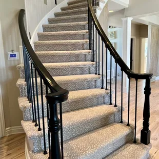 Carpet Land