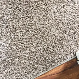 Here's the same area after he did magic on it- glitter is gone and the carpet is clean!!