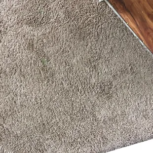 Carpet started out worn down, dirty and stained with glitter glue.