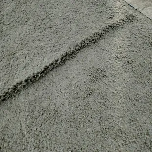 Carpet in living room.