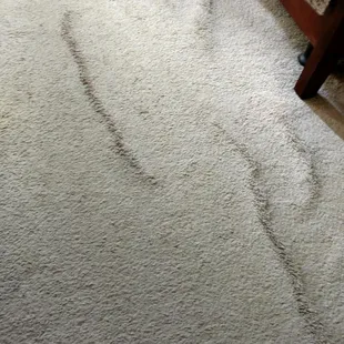 Carpet in bedroom.