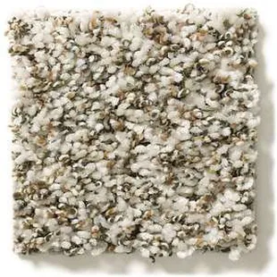 Shaw &quot; Carpet &quot; brings color, texture and value to your floors. Call for a free estimate.