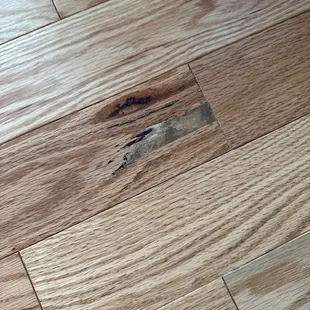 Damaged wood glued down permanently.