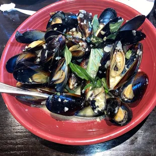 food, oysters and mussels, mussels, shellfish, oysters