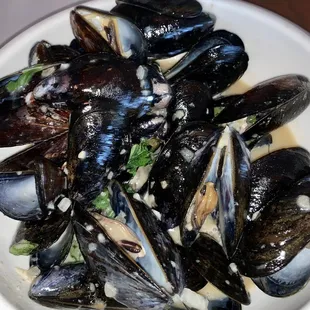food, oysters, mussels, shellfish, oysters and mussels