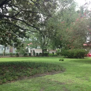 The gardens are a great place to sit with your new book!