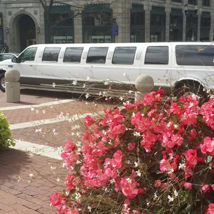 Newest addition to Carriage House charters limousines.