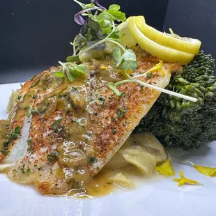 Fresh Catch of the Day