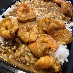 Shrimp curry over rice