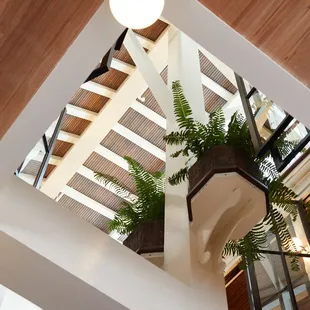 The interior atrium above the Carriqui Bar brings fills the space with natural sunlight.