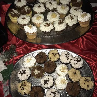Chocolate chip cupcakes at Carrollwood country club, North Tampa