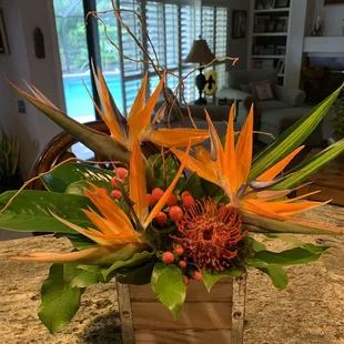 Magnificent Sefina arrangement!