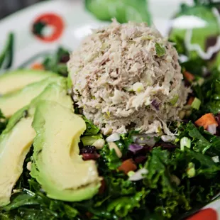 Kale Salad w/ Tuna Salad