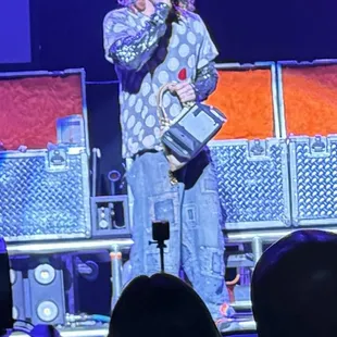 A Purse for hookers.   (complete with credit card Swiper...)