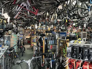 Bike King
