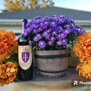 Red wine season. Our favorite: Buon Vino Rosso