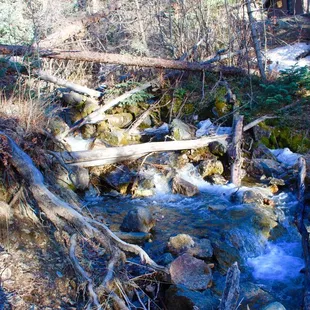Stream in Carson