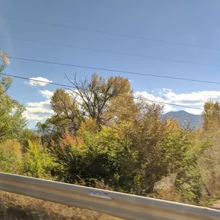 Carson National Forest mid-October in NM