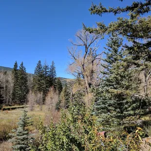 Carson National Forest mid-October north of Vadito, NM