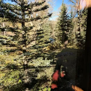 Carson National Forest mid-October