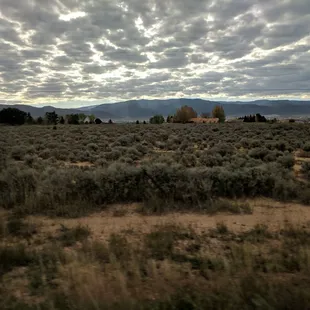 Carson National Forest mid-October in NM