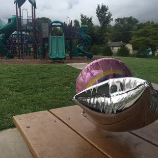 View from the shelter.