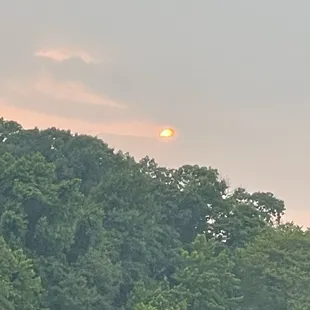 the sun setting over the trees