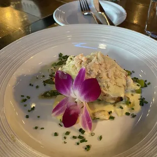 Salmon Oscar