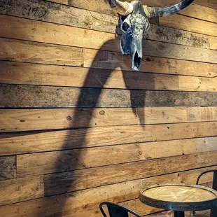 a cow skull mounted on the wall