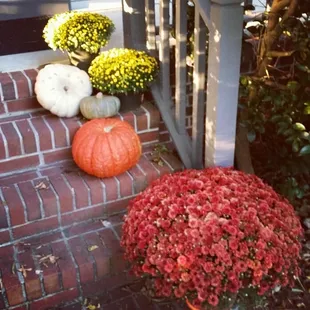 pumpkins and mumensils